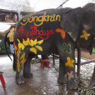 Thailand_New_Year_50148.jpg