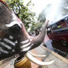 Thailand_New_Year_62122.jpg