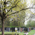 Leben am Dornbirner Friedhof