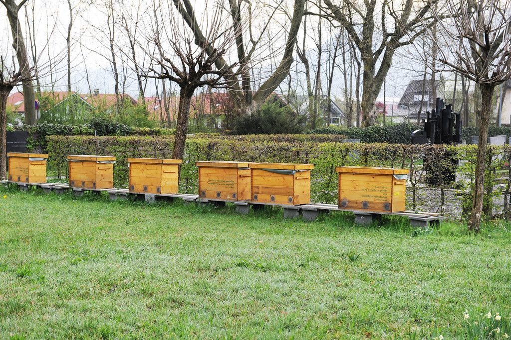 20170412_Leben_am_Friedhof_Rohrbach2.jpg