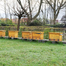20170412_Leben_am_Friedhof_Rohrbach2.jpg