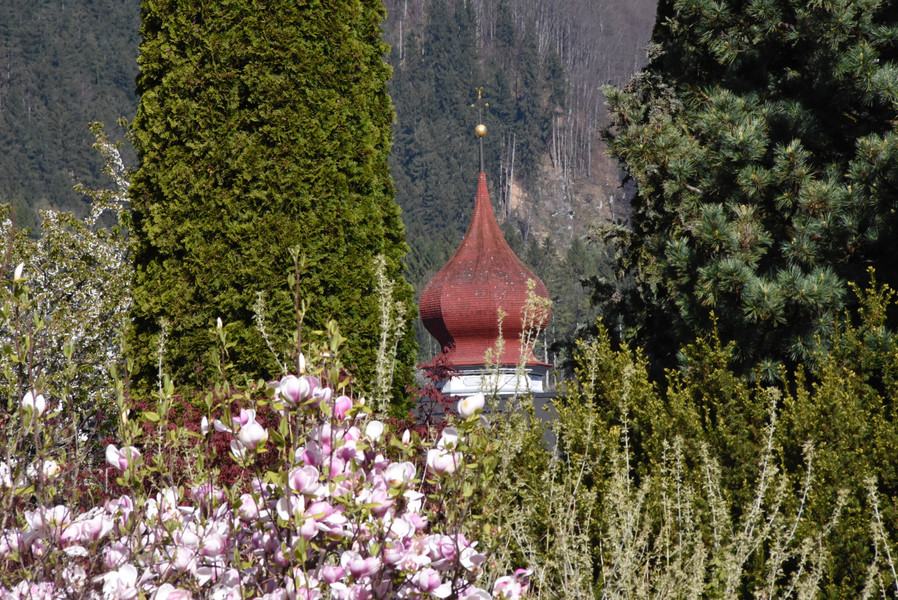 _SCO4234 _1_.jpg