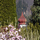 _SCO4234 _1_.jpg