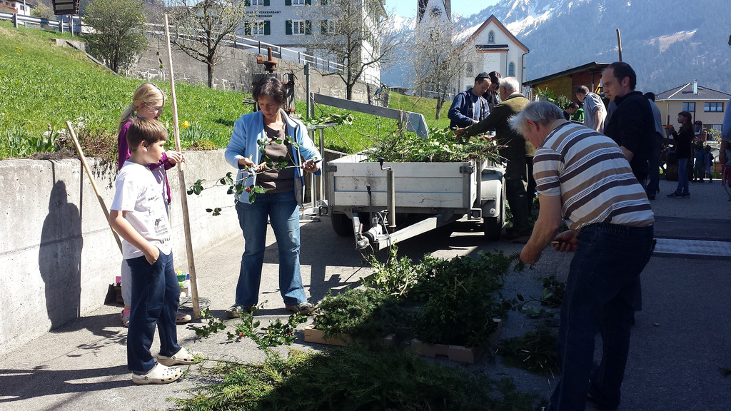 170408 Palmen binden _4a_.jpg