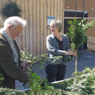 170408 Palmen binden _9a_.jpg