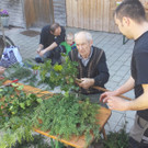 170408 Palmen binden _15a_.jpg