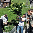 170408 Palmen binden _20a_.jpg