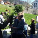 170408 Palmen binden _23a_.jpg