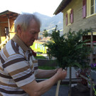 170408 Palmen binden Dolores _5a_.jpg