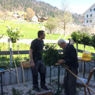 170408 Palmen binden Dolores _6a_.jpg