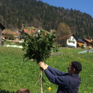 170408 Palmen binden Dolores _8a_.jpg