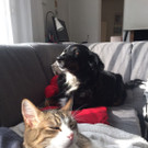 WhatsApp Image 2017-04-09 at 23_31_54.jpeg