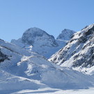 NF6 _1024x683_.jpg