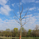 w_IMG_0570.JPG