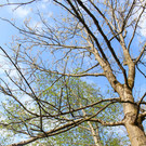 x_IMG_0573.JPG