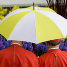 ostermesse-vatikan-papst-franziskus _11_.jpg