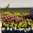 ostermesse-vatikan-papst-franziskus _13_.jpg