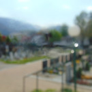 DSC03985.JPG
