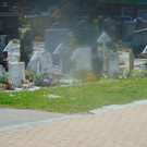 DSC03986.JPG