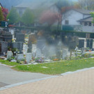 DSC03987.JPG