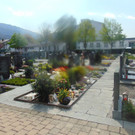 DSC03991.JPG