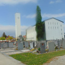 DSC03993.JPG