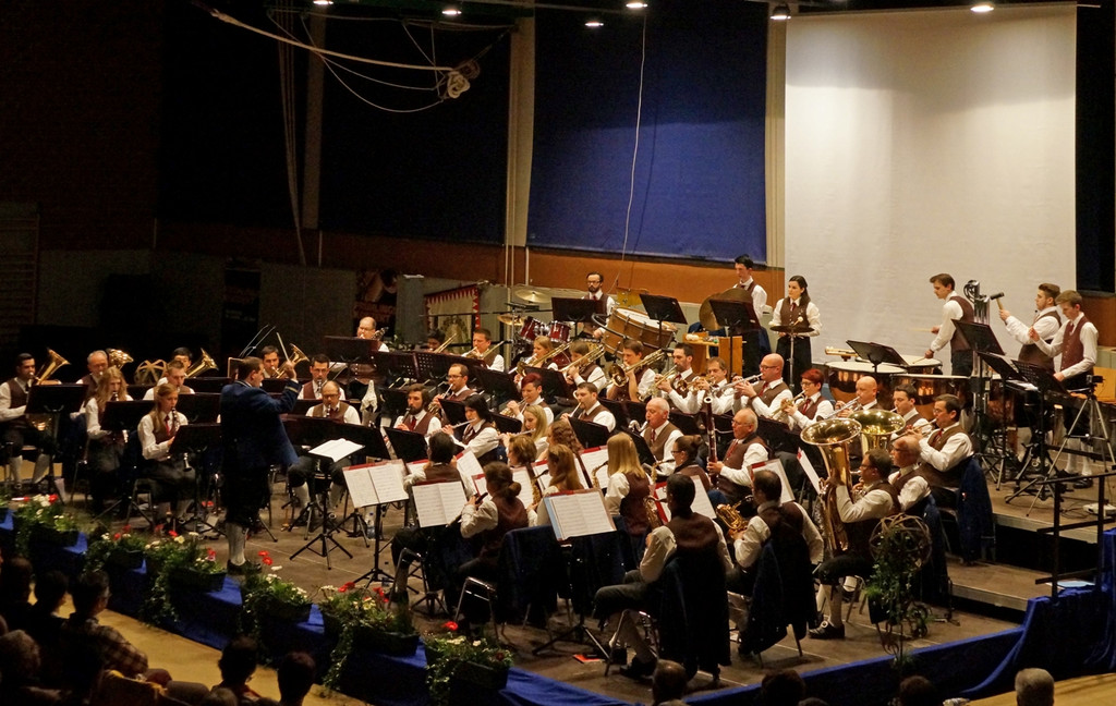 Musikverein Lochau Fr__hlingskonzert TERMIN 2017 _2_.jpg