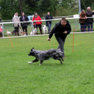 IMG_3941.JPG