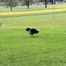 IMG_3948.JPG