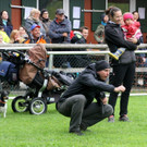 IMG_3957.JPG