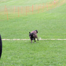IMG_3976.JPG
