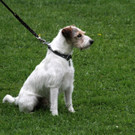IMG_3983.JPG