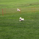 IMG_3993.JPG