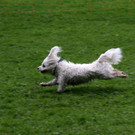IMG_3995.JPG