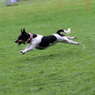 IMG_3998.JPG