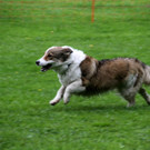 IMG_4010.JPG