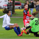 titel ffc.jpg