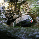 IMG_9822.JPG