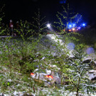 IMG_9825.JPG
