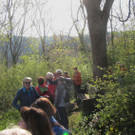 IMG_0289 Kopie.jpeg