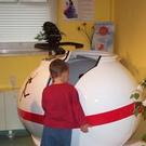 239040.jpg