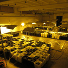 20170418 PI Korneuburg Foto 1.jpg