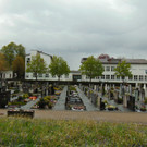 DSC04028.JPG