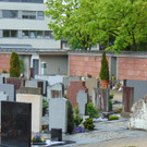 DSC04029.JPG
