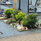 DSC04030.JPG