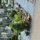 DSC04031.JPG