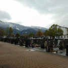 DSC04037.JPG