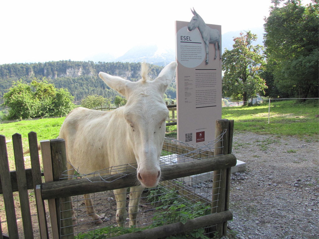 KOE_Wildpark unvernueftige Besucher 6.jpg