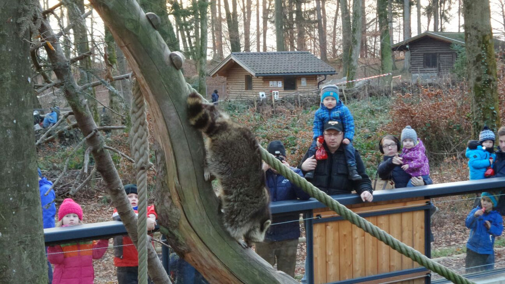 KOE_Wildpark unvernueftige Besucher 12.jpg