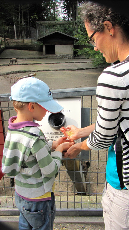 KOE_Wildpark unvernueftige Besucher 15.jpg